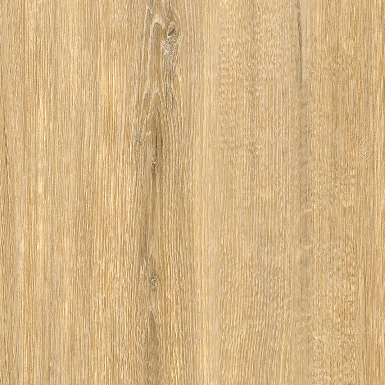 Bumpy Oak - CT82